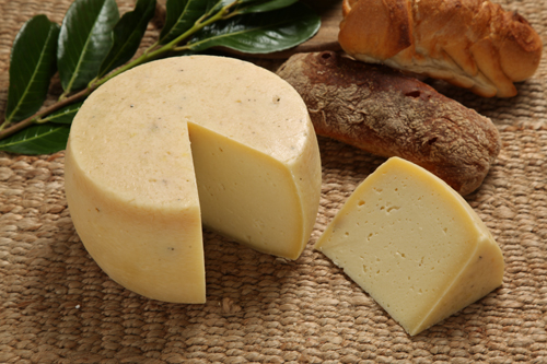 caciotta