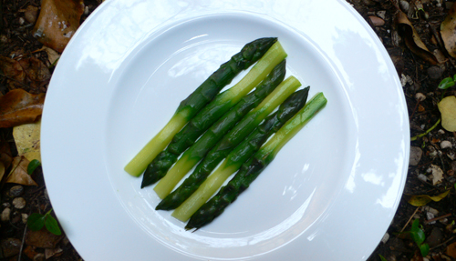 diet5